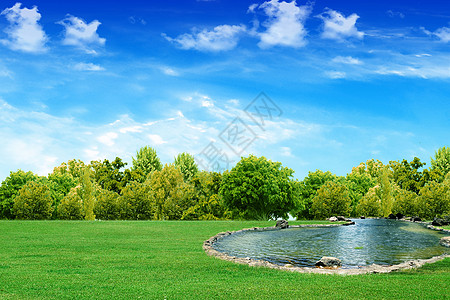 在湖边天空天气花束植物蓝色树叶植物群森林麦田环境背景图片