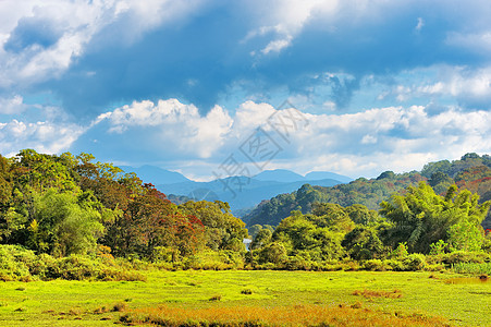 印度全景草原山腰森林高地天空晴天林地环境阳光空地图片