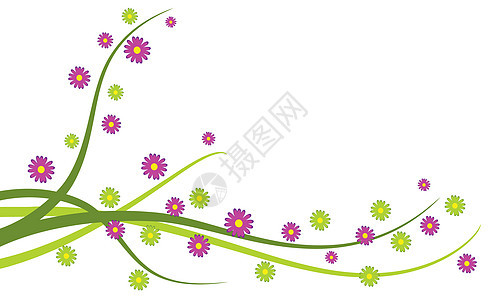 绿色和紫红色花花 矢量说明的植物背景图片