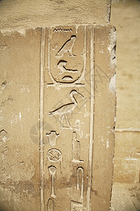 egyptian 象形文字c图片