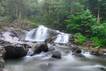 山河巨石植物叶子石头河床树木速度活力蓝色野生动物图片