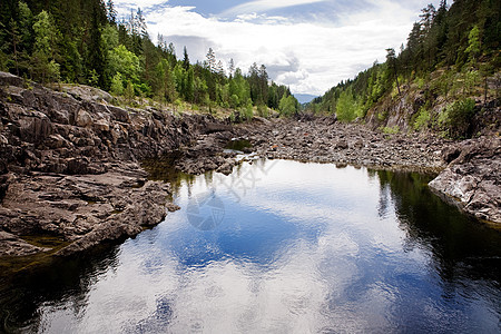 干河床森林天气岩石环境石头生态图片