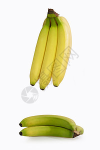 热带热带香蕉图片