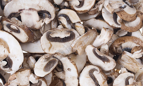 蘑菇菌类食物背景图片