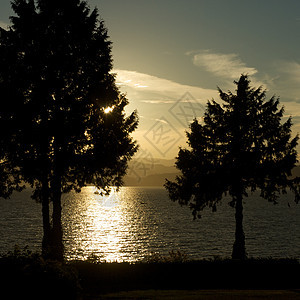 温哥华斯坦利公园城市海岸公园小路树木旅行摄影港口旅游岩石图片
