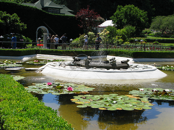 不列颠哥伦比亚省维多利亚州布查特花园游客风景花朵植物照片旅行反射花园树木地标图片