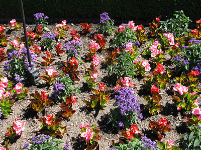不列颠哥伦比亚省维多利亚州布查特花园地标风景花园公园树木反射冥想植物游客花朵图片