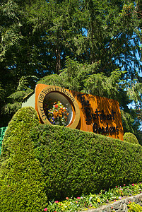 不列颠哥伦比亚省维多利亚州布查特花园花园游客照片树木公园地标冥想风景旅行植物图片