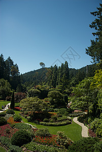不列颠哥伦比亚省维多利亚州布查特花园冥想美丽花园游客植物树木地标公园照片旅行图片
