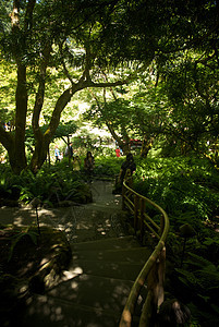 不列颠哥伦比亚省维多利亚州布查特花园花园美丽地标旅行植物反射冥想风景游客照片图片