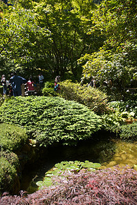 不列颠哥伦比亚省维多利亚州布查特花园花园照片冥想美丽旅行地标公园树木反射植物图片