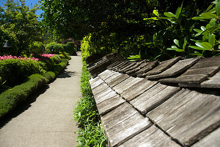 不列颠哥伦比亚省维多利亚州布查特花园照片地标花朵公园冥想风景花园美丽游客旅行图片