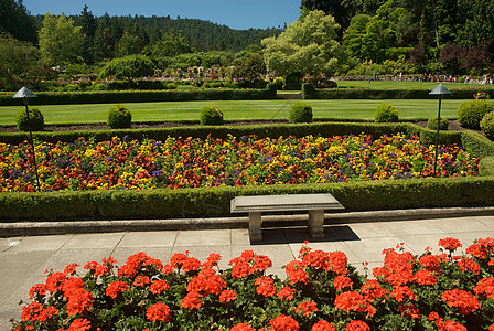 不列颠哥伦比亚省维多利亚州布查特花园树木花园游客美丽花朵风景植物旅行反射公园图片