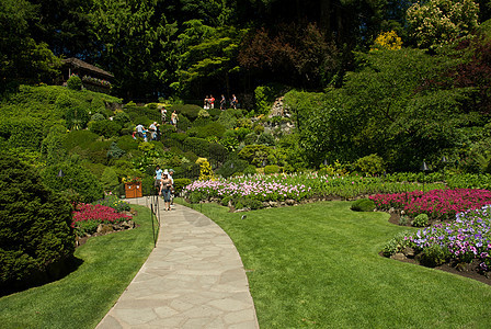 不列颠哥伦比亚省维多利亚州布查特花园照片旅行花园游客植物美丽公园地标花朵风景图片