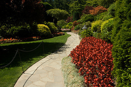 不列颠哥伦比亚省维多利亚州布查特花园美丽冥想地标花园公园风景游客植物旅行树木图片