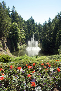 不列颠哥伦比亚省维多利亚州布查特花园植物冥想花朵风景反射旅行美丽照片游客地标图片
