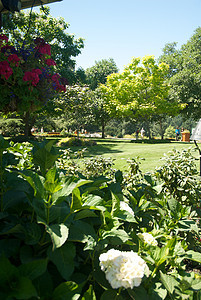 不列颠哥伦比亚省维多利亚州布查特花园树木游客花园冥想公园反射旅行照片美丽花朵图片