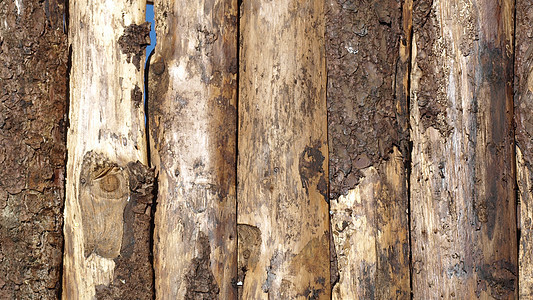 木头地面建筑学材料建造地板棕色单板日志木板木材图片