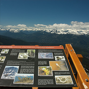 夏季惠斯勒山高峰会议旅行哨子全球山脉风景顶峰荒野滑雪山照片冰川图片