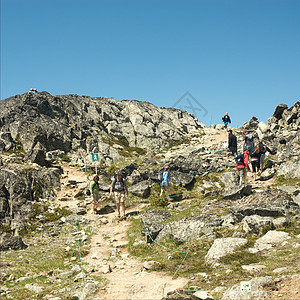 夏季惠斯勒山高峰会议风景哨子旅游滑雪滑雪山假期冰川美丽照片全球图片