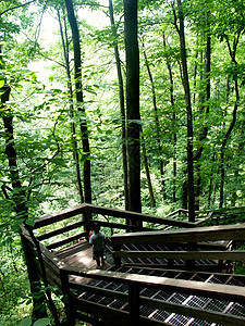 Amicaola瀑布山丘甲板旅游山脉游客水域树木照片远足岩石溪流图片