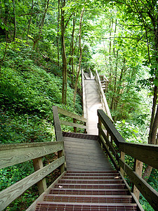 Amicaola瀑布山丘远足者旅游水域树木溪流岩石游客远足山脉甲板图片