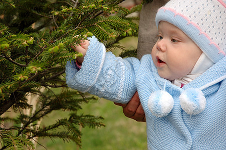 漂亮的小女孩玩针叶树的小枝夹克蓝色衣服裙子孩子植物群儿童婴儿女孩粉色图片