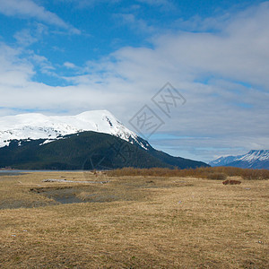 阿拉斯加荒野公园海岸海岸线照片蓝色风景国家摄影冰川假期图片