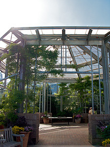 亚特兰大植物园照片草地公园植物探索植物园萝西温室生态太阳图片