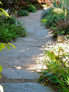 亚特兰大植物园萝西温室生态植物花园公园太阳草地旅游探索图片