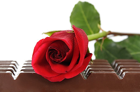 巨大的巧克力棒小吃糖果巧克力食物棕色诱惑可可礼物玫瑰牛奶图片