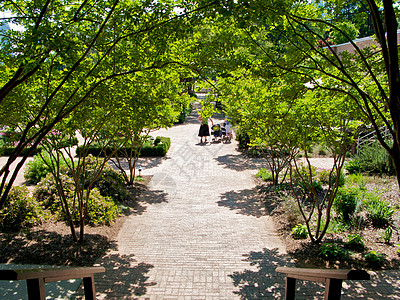 亚特兰大植物园花园公园生态正方形植物园太阳植物温室萝西旅游图片