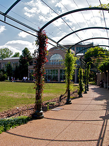 亚特兰大植物园旅游探索植物园照片温室植物萝西正方形花园太阳图片