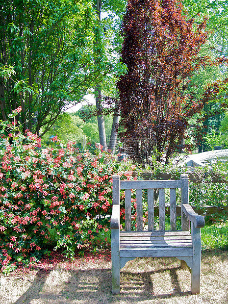 亚特兰大植物园萝西正方形草地生态温室探索植物旅游花园植物园图片