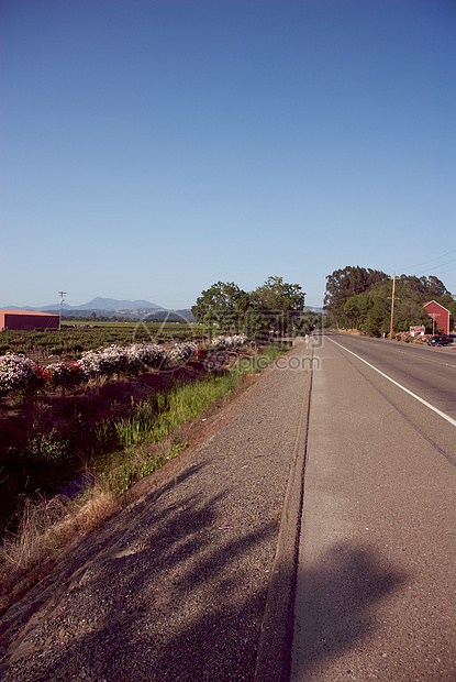 美国加利福尼亚州索诺马山谷目的地酒厂摄影藤蔓酿酒风景树叶旅游葡萄园图片