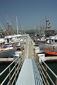 Bodega湾加利福尼亚沿海渔 渔村旅游风景旅行渔船图片