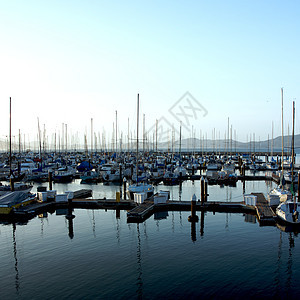 旧金山湾 美国加利福尼亚州地标国际目的地风光场景都市城市摄影旅游风景图片