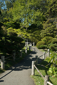 美国 加利福尼亚 旧金山 金门公园 日式茶园外观寺庙宗教结构目的地城市特色池塘庭园花园图片