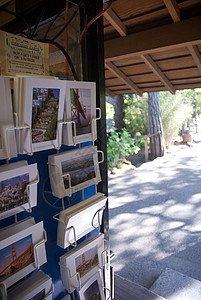 美国 加利福尼亚 旧金山 金门公园 日式茶园结构外观建筑花园池塘寺庙摄影园景文化目的地图片