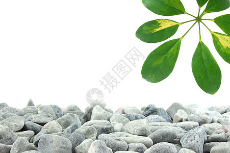 石头和树叶竹子沙龙生活黑色冥想治疗碎石按摩温泉叶子图片