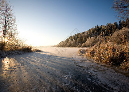冬季湖景观辐射树干树木木头杂草寒意冻结耀斑仙境太阳图片