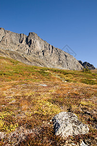 挪威山详细山区资料石头生态天空树木草地岩石顶峰荒野图片