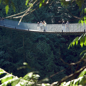 卡皮拉诺公园Capilano吊桥摄影森林危险游客树木公园旅行图片