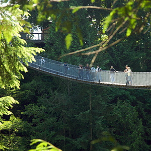 卡皮拉诺公园Capilano吊桥危险游客摄影公园旅行树木森林图片