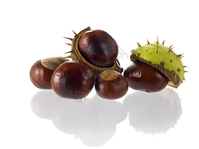 栗栗子棕色尖刺季节性水果坚果种子植物群板栗图片