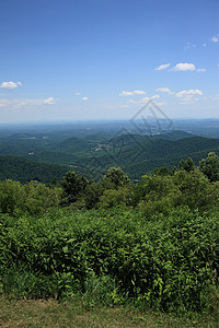 Blue Ridge山  弗吉尼亚州旅游森林风景公园绿色乡村天空国家旅行树木图片