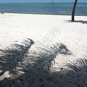 美国佛罗里达州西主要海滩游泳地平线旅行达人假期钥匙海浪海岸海洋公园图片