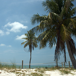 美国佛罗里达州西主要海滩天空公园地平线游泳蓝色钥匙假期海浪达人旅行图片