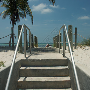 美国佛罗里达州西主要海滩达人游泳假期地平线海浪旅行海岸公园摄影钥匙图片