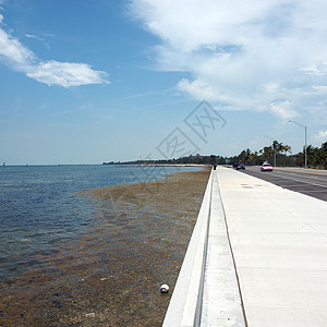 美国佛罗里达州西主要海滩游泳假期旅行钥匙地平线海浪海岸达人摄影蓝色图片